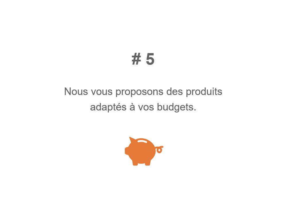 budget
